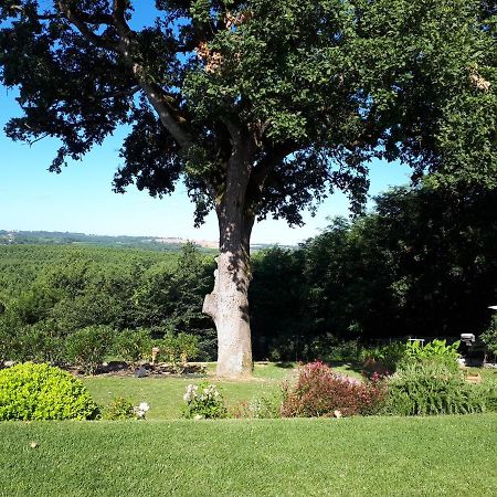 La Chenaie Bed & Breakfast Sainte-Marthe  Exterior photo